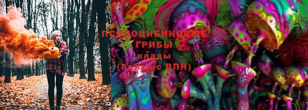 2c-b Вяземский