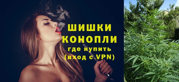2c-b Вяземский