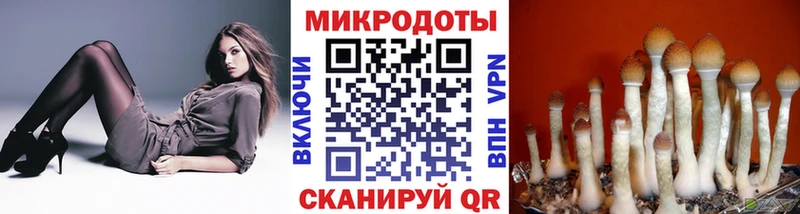 Купить Микунь Галлюциногенные грибы GOLDEN TEACHER