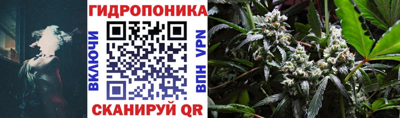 Конопля семена Микунь
